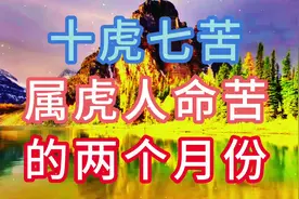 十虎七苦，属虎人命苦的两个月份视频封面
