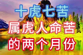 十虎七苦，属虎人命苦的两个月份视频封面