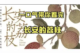 爆肝30天，18000字超燃解说一口气读完马伯庸神作《长安的荔枝》视频封面