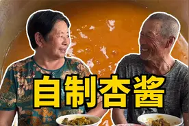 吃不了的杏怎么办？姥姥教你自制杏酱，蘸馒头都好吃