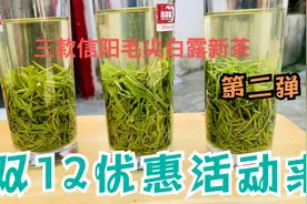 高品质的正宗信阳毛尖大山茶兰花香明显，不过很多朋友找不到视频封面