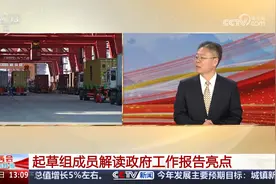 政府工作报告起草组成员 DeepSeek读报告 能打几分？视频封面