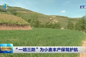 “一喷三防”为小麦丰产保驾护航视频封面