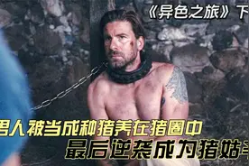 男人被当成种猪圈养在猪圈中，最后逆袭成为了猪姑爷视频封面
