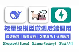 DeepSeekR1大模型轻量级微调，可视化训练过程环境配置+后端调用视频封面