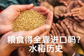 水稻的历史