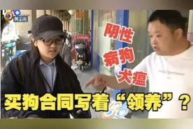 “边牧”领回家6个项目“阳性”，是购买还是领养？