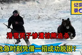 棕熊追杀滑雪男子，现场看得人心跳加速，真实影像拍下惊悚瞬间？视频封面