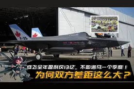 双方差距为啥这么大？成飞全年盈利仅13亿，还不如洛马一个季度！视频封面