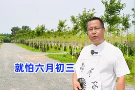 六月初三2大忌日，老人说“就怕六月初三”，有啥不好预兆？