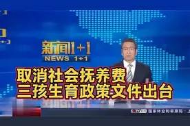来了！取消社会抚养费,三孩生育政策文件出台,来听专家详解视频封面