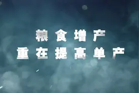 2024年中央一号文件精神解读：强化农业科技支撑视频封面