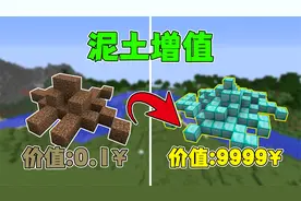 我的世界：当泥土变成最难获得的方块，我该怎么获得呢！