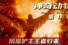 男孩觉醒家族血脉，引得灵宠凤凰涅槃重生视频封面