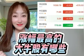 上市28年涨2600倍？中国涨幅最高的大牛股有哪些？视频封面