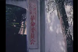 老电影    迟到的春天视频封面