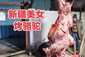 400斤的大骆驼先腌后烤，纯肉130一公斤，新疆和田果然馕坑烤万物