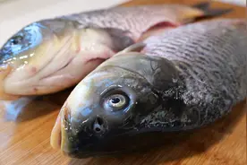 无论啥鱼，买多吃不完学会这招保存，放一年不坏，和新鲜的一样鲜