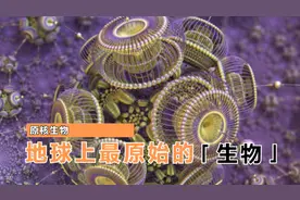 原核生物界：地球上最原始的生物