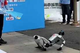 人形机器人半马现场：宇树机器人摔倒后站起挥手 观众大喊"加油"视频封面