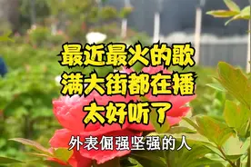 最近又火了一首新歌，太好听了，满大街都在播，单曲循环一整天！视频封面