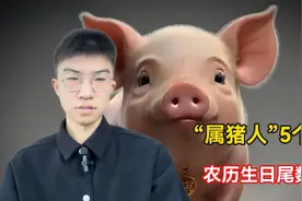 “属猪人”这5个农历生日尾数，一生大吉大利越老越有福气有钱！视频封面