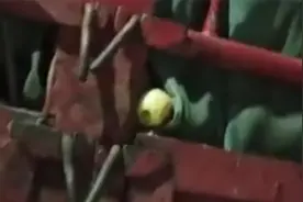 多辆货车载烂苹果停果汁厂外散发酸臭 咸阳市监局介入视频封面