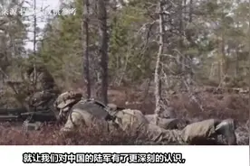 我国重装合成旅有多强？四十分钟灭俄军一个团，花200亿打造值吗视频封面