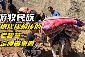 伊朗游牧民族，根据代代相传的古老智慧，决定搬离现在的家园视频封面