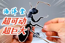 11cm的巨型蚂蚁见过吗？海洋堂REVOGEO 立体图鉴006-弓背蚁