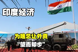 印度经济：为啥总让外资，“望而却步”？视频封面