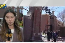 特朗普“禁招令”下哈佛校园现状：学校组织各项讲座，帮学生答疑视频封面