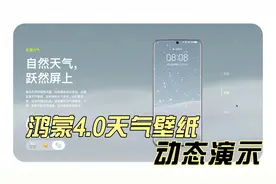太酷了！华为鸿蒙4.0天气壁纸【动态演示】视频封面