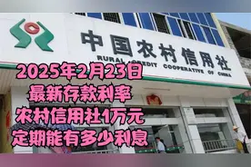 2025年2月23日最新存款利率：农村信用社1万元定期能有多少利息？视频封面