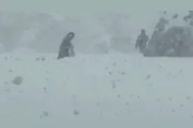 74厘米！山东威海文登积雪深度破全省纪录：雪深及腰民众出行困难