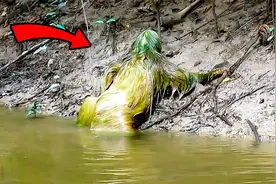 传说中的水猴子真的存在吗？男子在岸边拍到不明生物，画面很诡异