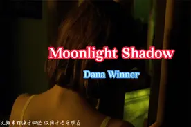 一口气听完欧美殿堂级名曲《Moonlight Shadow》视频封面