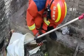 气温升高蛇出没 三亚消防支招防范