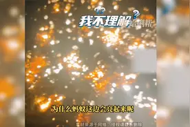 男子晚上发现蚂蚁窝会发光，不是着火，也不是地灯