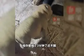 刚出生三天的小狗，奶喝饱就睡且身体僵硬，请问这是什么原因