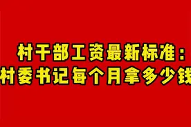 村干部工资最新标准 -村委书记每个月能拿多少钱视频封面