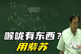 倪海厦：喉咙有东西？用紫苏
