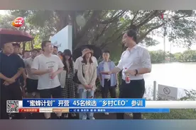 “蜜蜂计划”开营 45名候选“乡村CEO”参训视频封面