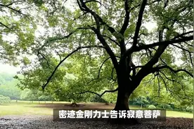 舍利弗与释迦如来的前世今生视频封面