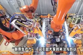大白话解读之四：政府工作报告名词：新质生产力视频封面