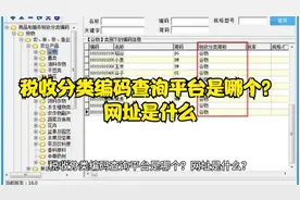 税收分类编码查询平台是哪个？网址是什么