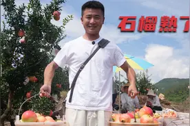 中国石榴天花板，你知道正确吃法吗？当地人教你正确打开方式！