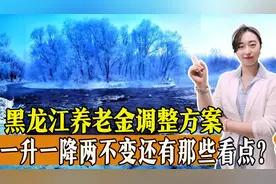 2023年黑龙江公布养老金调整方案，一升一降两不变，有哪些看点？视频封面