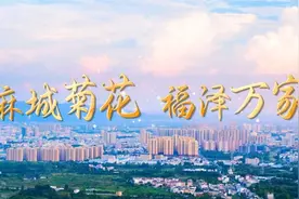 2023麻城市首届王叔和中医药文化节暨第11届菊花文化旅游节演出视频封面