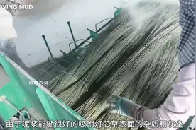 师傅以传统手艺用灯芯草制作叠席 太牛了#手工diy